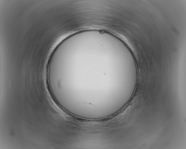X0000112011187200908031015