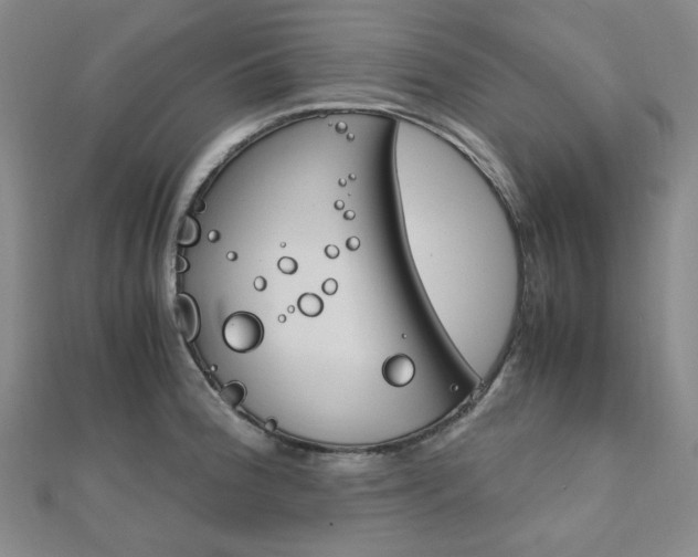 X0000112011188200908031015