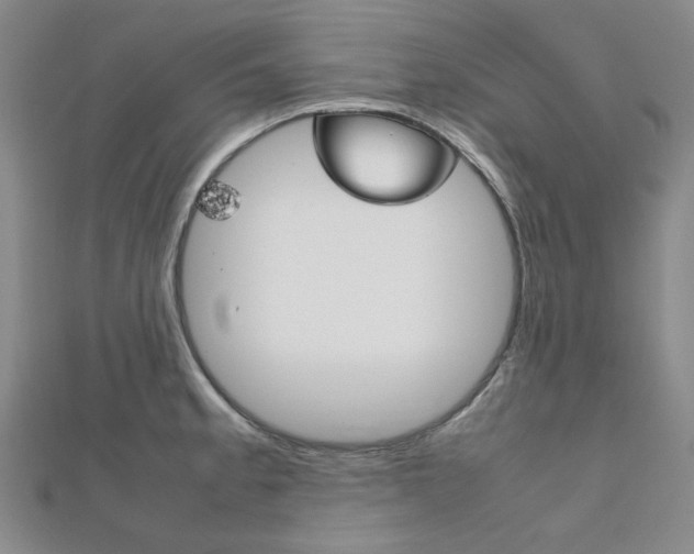 X0000112011189200908031015