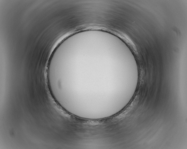 X0000112011190200908031015