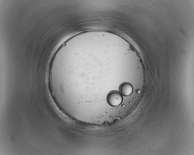 X0000112011195200908031015