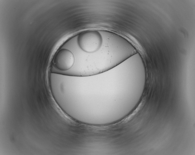 X0000112011196200908031015