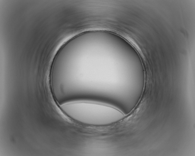 X0000112011197200908031015