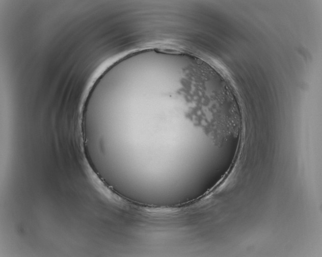 X0000112011200200908031015