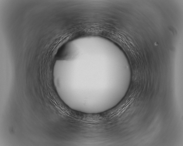 X0000112011201200908031014