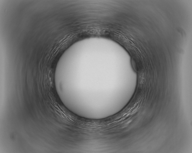 X0000112011202200908031014