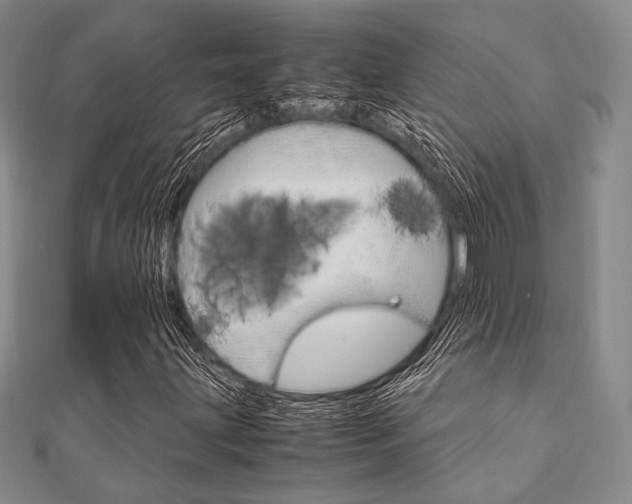 X0000112011203200908031014
