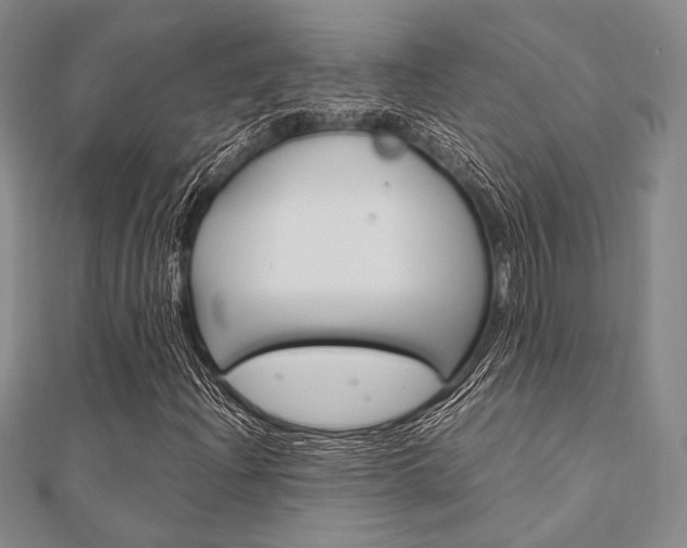 X0000112011204200908031014