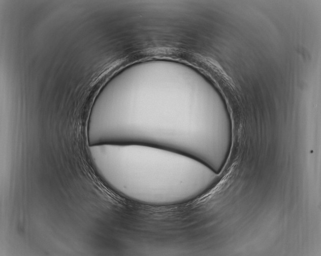 X0000112011209200908031014