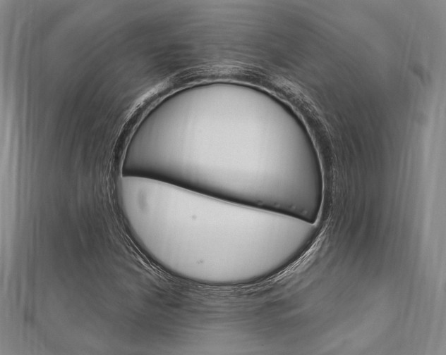 X0000112011210200908031014