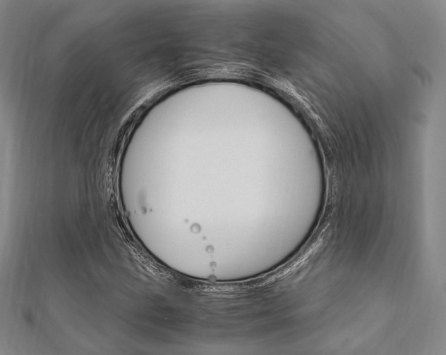 X0000112011211200908031014