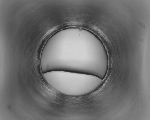 X0000112011213200908031014