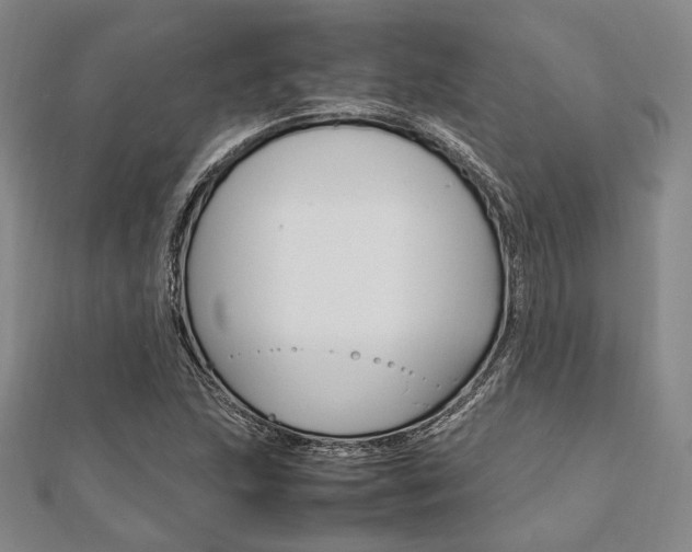 X0000112011215200908031014