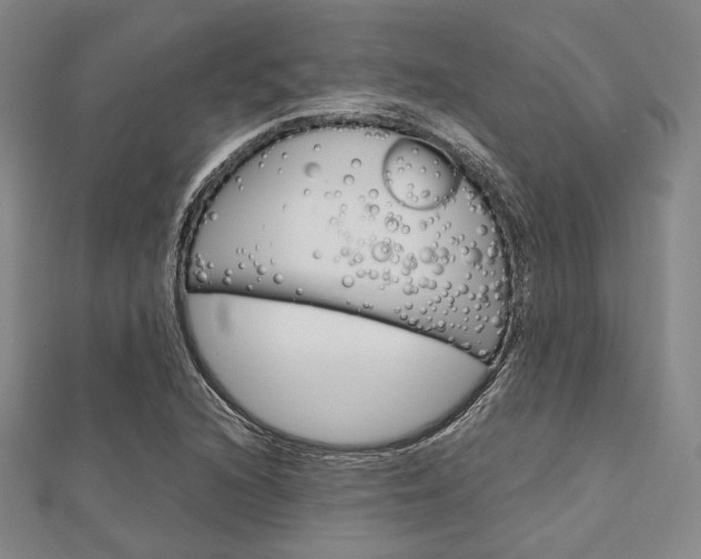 X0000112011216200908031014