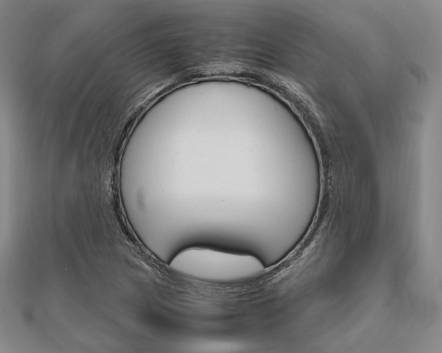 X0000112011217200908031014