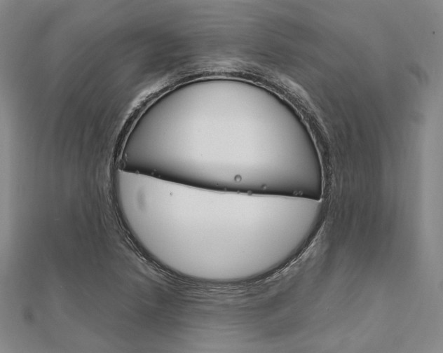 X0000112011218200908031014