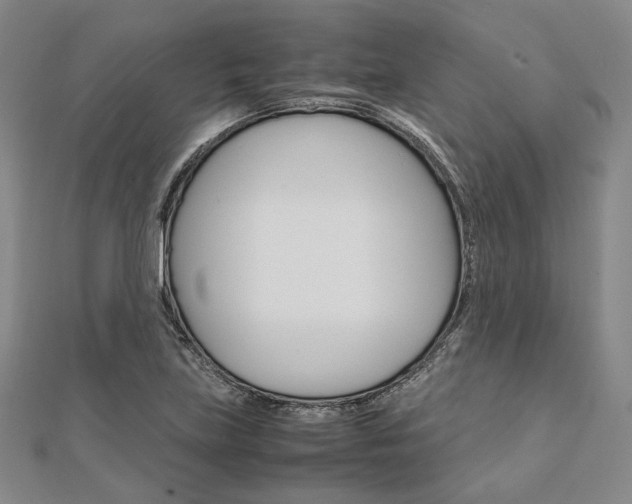 X0000112011219200908031014