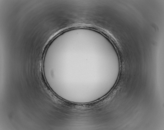 X0000112011220200908031014