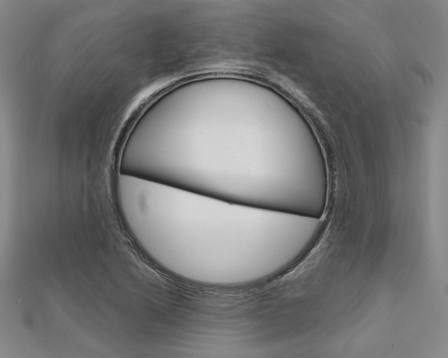 X0000112011222200908031014