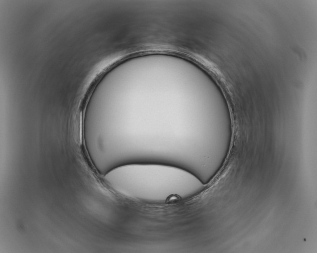 X0000112011223200908031014