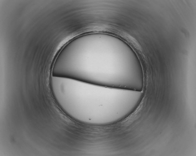 X0000112011226200908031014