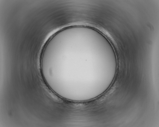 X0000112011230200908031014