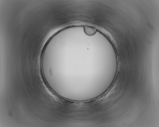 X0000112011231200908031014