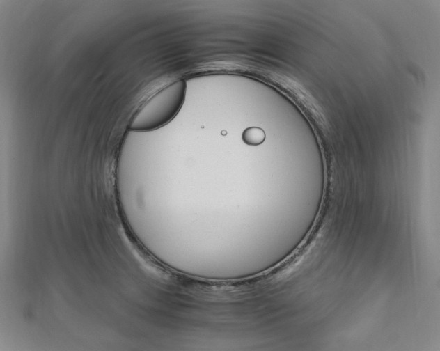 X0000112011233200908031014