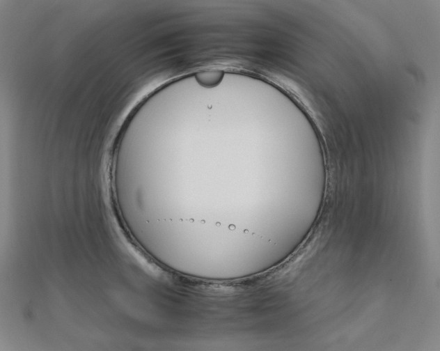 X0000112011235200908031014
