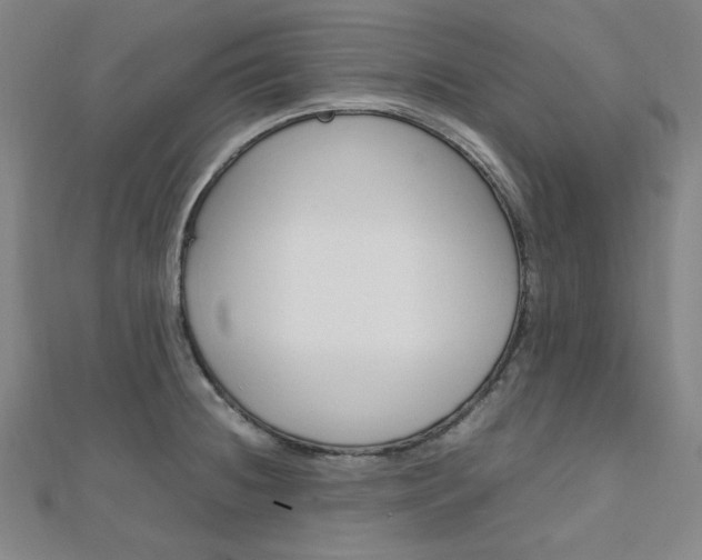 X0000112011236200908031014