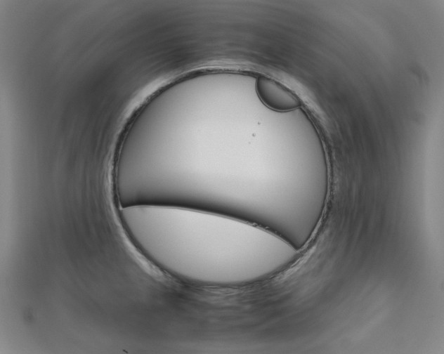 X0000112011237200908031015
