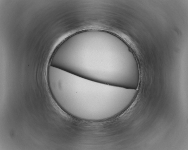 X0000112011238200908031015
