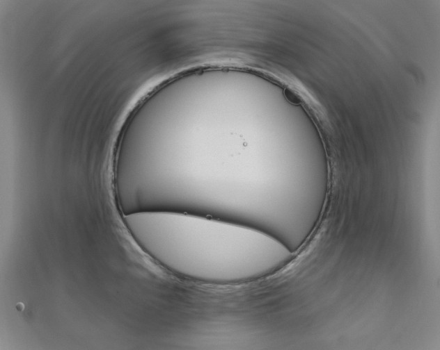 X0000112011240200908031015