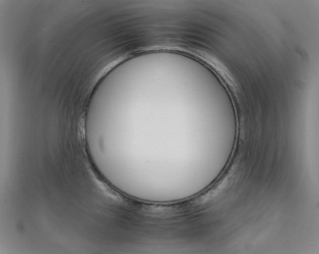 X0000112011241200908031015
