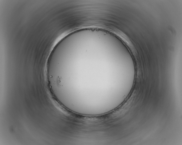 X0000112011242200908031015