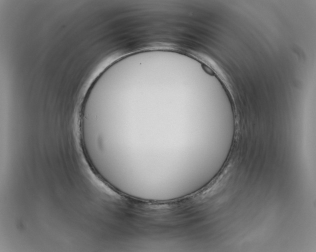 X0000112011243200908031015