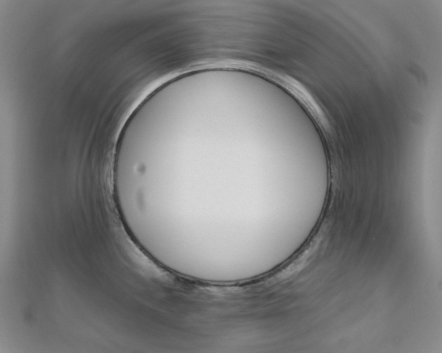 X0000112011244200908031015