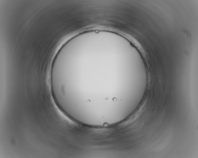 X0000112011247200908031015