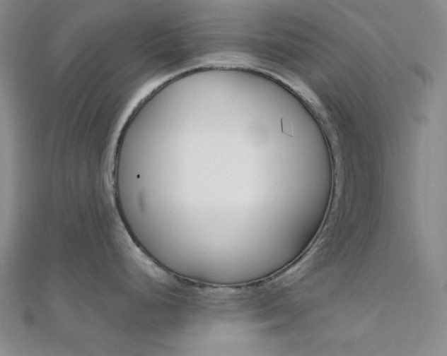 X0000112011248200908031015