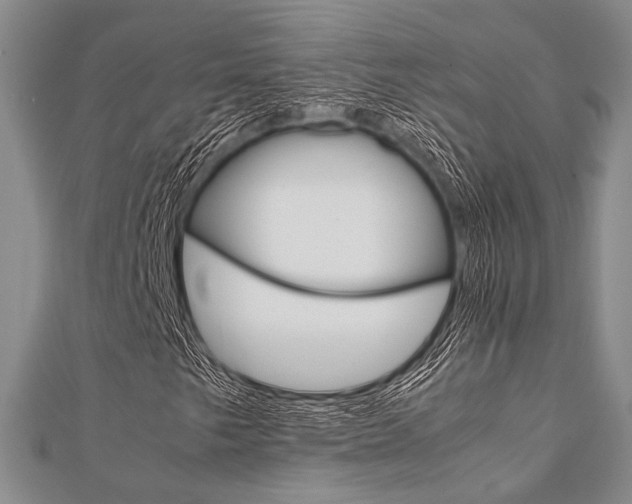 X0000112011249200908031014