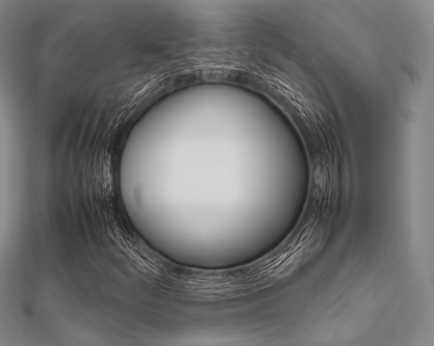 X0000112011252200908031014