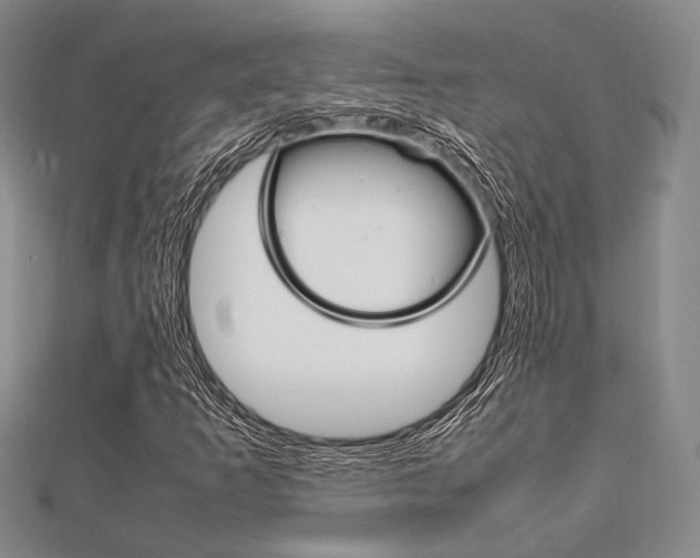 X0000112011253200908031014