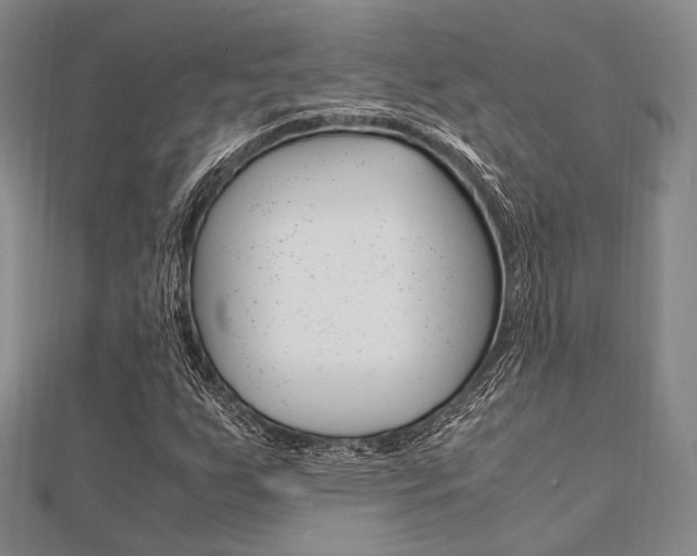 X0000112011255200908031014