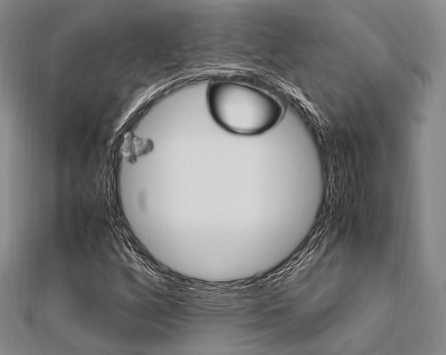 X0000112011256200908031014