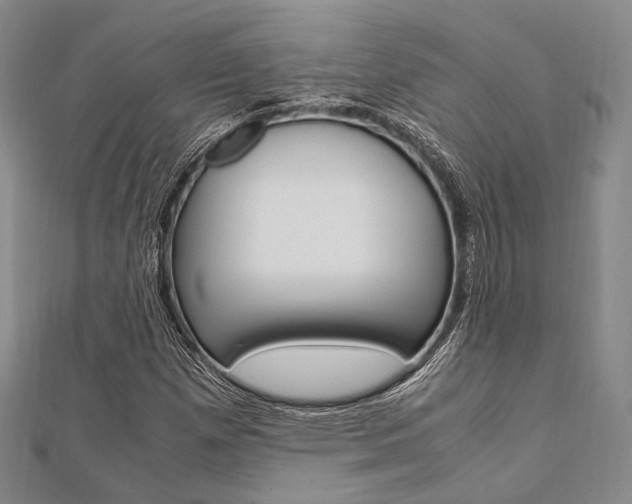 X0000112011257200908031014