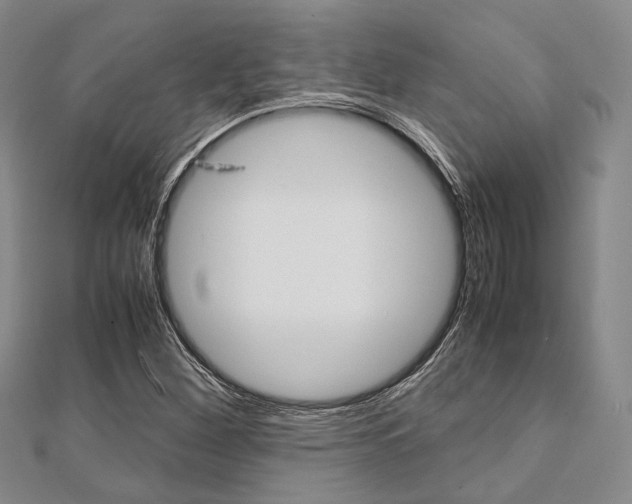 X0000112011260200908031014