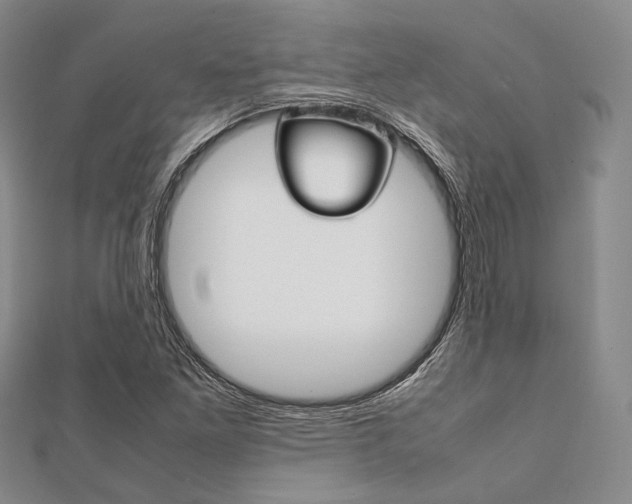 X0000112011261200908031014