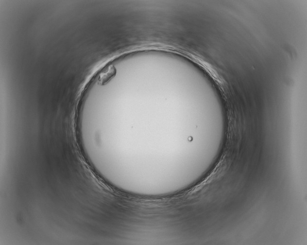 X0000112011264200908031014
