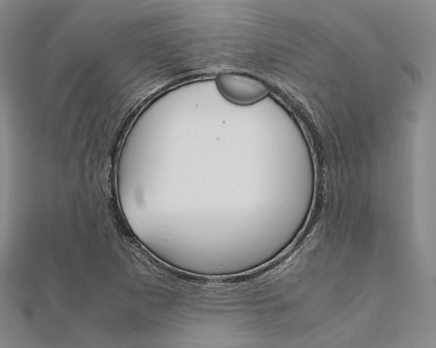 X0000112011265200908031014