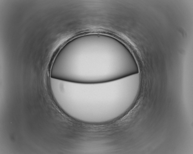 X0000112011269200908031014